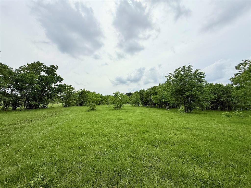 Binford Road Road, Waller, Texas image 4