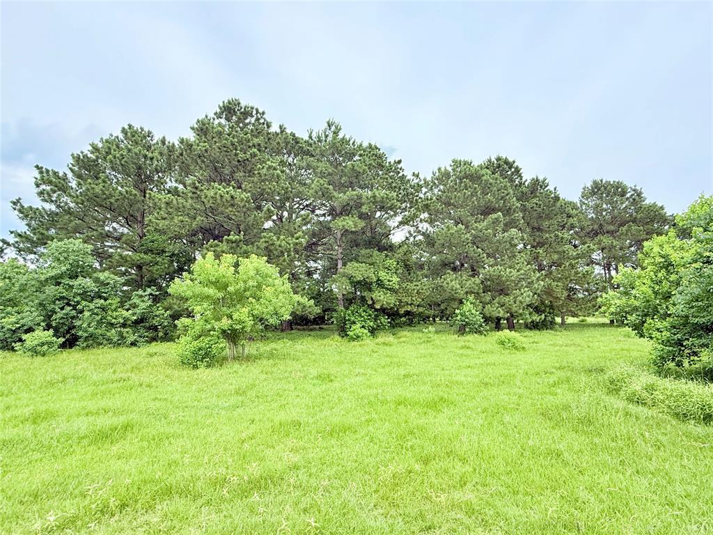Binford Road Road, Waller, Texas image 8