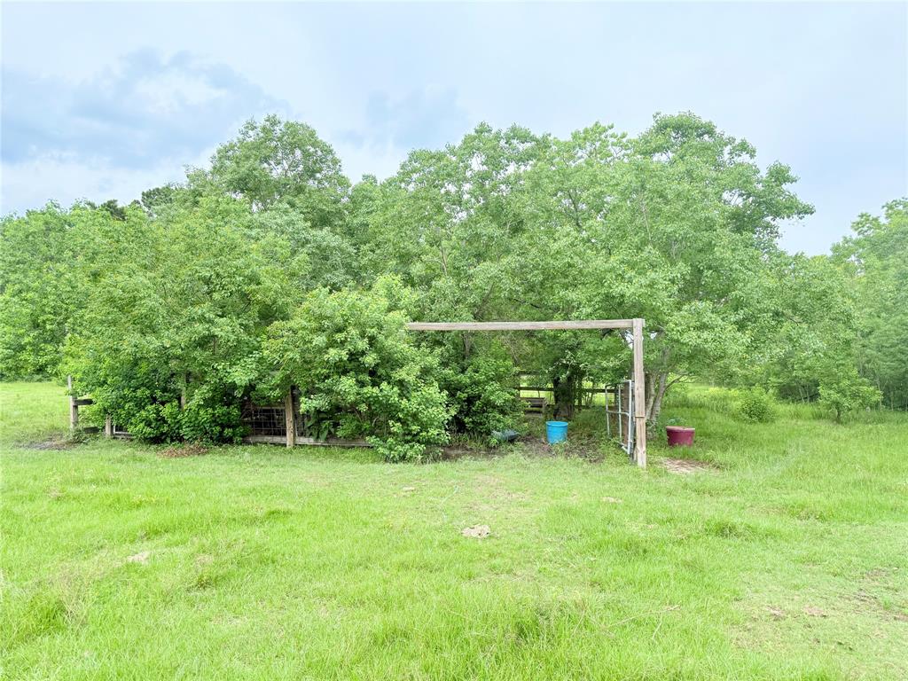 Binford Road Road, Waller, Texas image 9