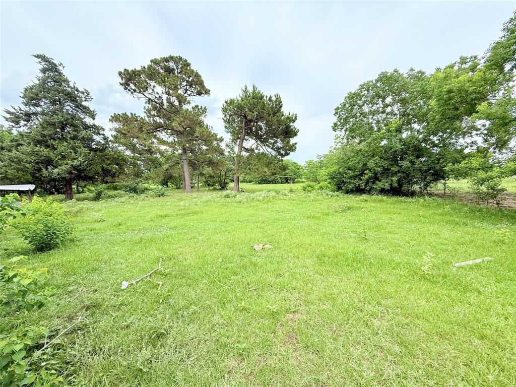 Binford Road Road, Waller, Texas image 10