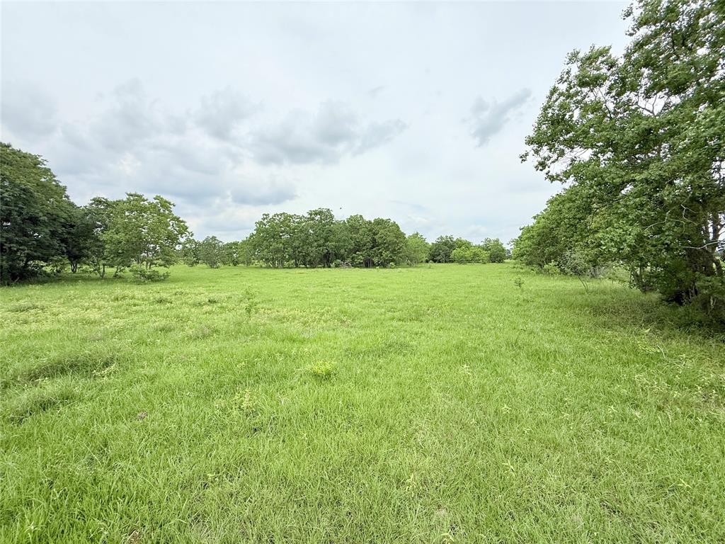 Binford Road Road, Waller, Texas image 7