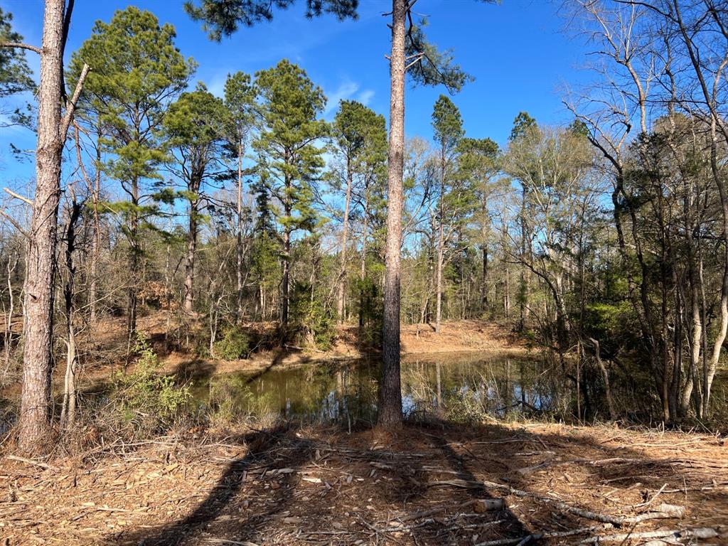 TRACT A County Road 4037, Timpson, Texas image 16