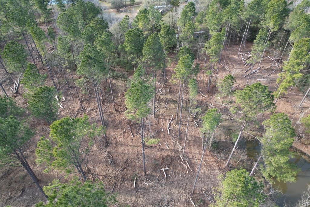 TRACT A County Road 4037, Timpson, Texas image 8