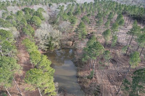 Vacant Land For Sale - TRACT A County Road 4037<br/> Shelby County, Timpson, TX 75975