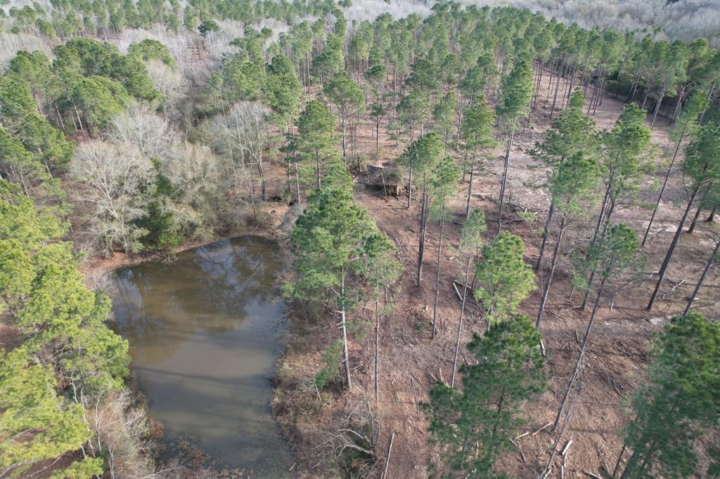 TRACT A County Road 4037, Timpson, Texas image 9