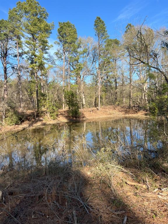 TRACT A County Road 4037, Timpson, Texas image 14