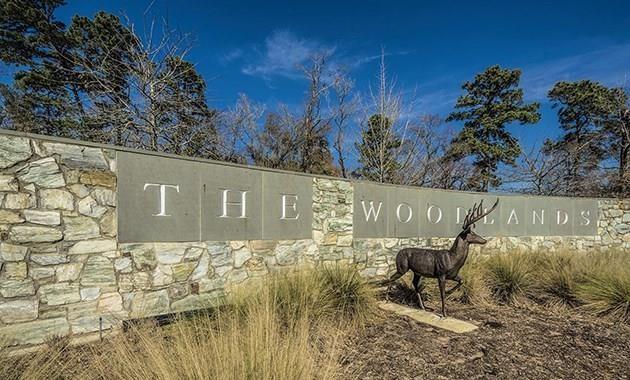 Spring, Texas 77389, United States, 5 Bedrooms Bedrooms, ,5 BathroomsBathrooms,Residential,Pending,35299