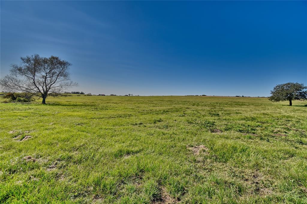 TBD 2 Pacen Place, Chappell Hill, Texas image 3