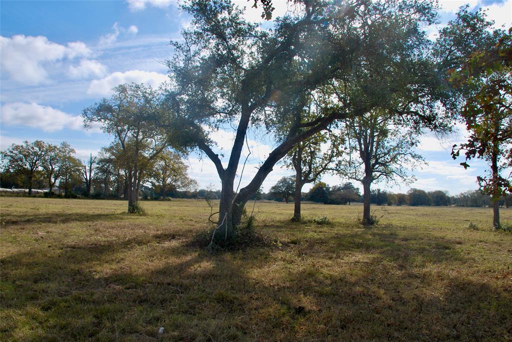 TBD County Road 135, Hallettsville, Texas image 14