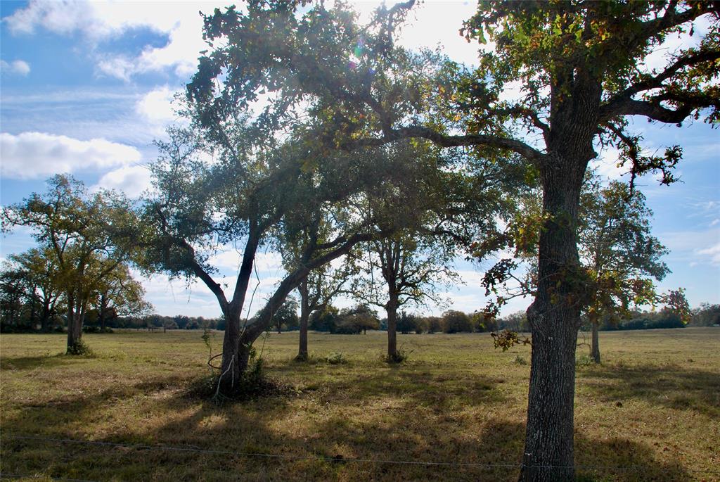 TBD County Road 135, Hallettsville, Texas image 4