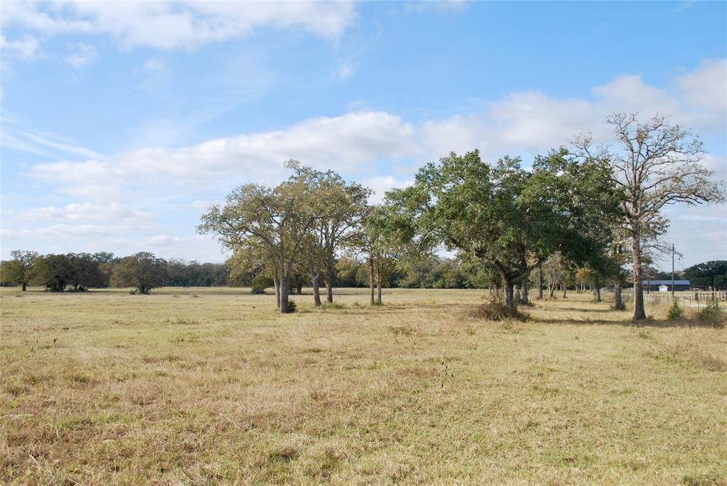 TBD County Road 135, Hallettsville, Texas image 12