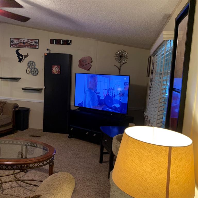 120 Peach Tree, Livingston, Texas image 10