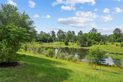 A home in The Woodlands