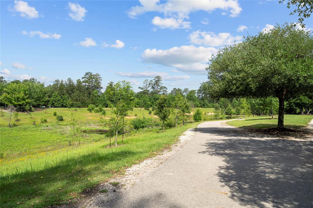 14 Clearbend Place, The Woodlands, Texas image 45