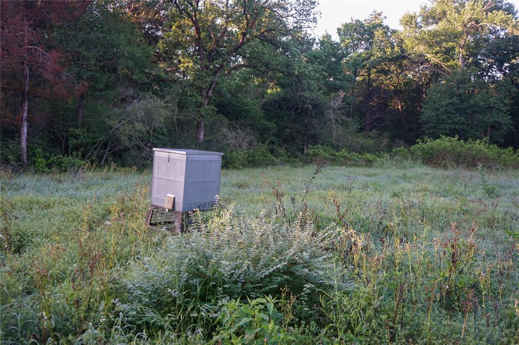 000 Fm 979, Calvert, Texas image 17