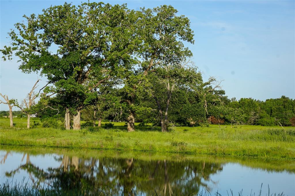 000 Fm 979, Calvert, Texas image 41