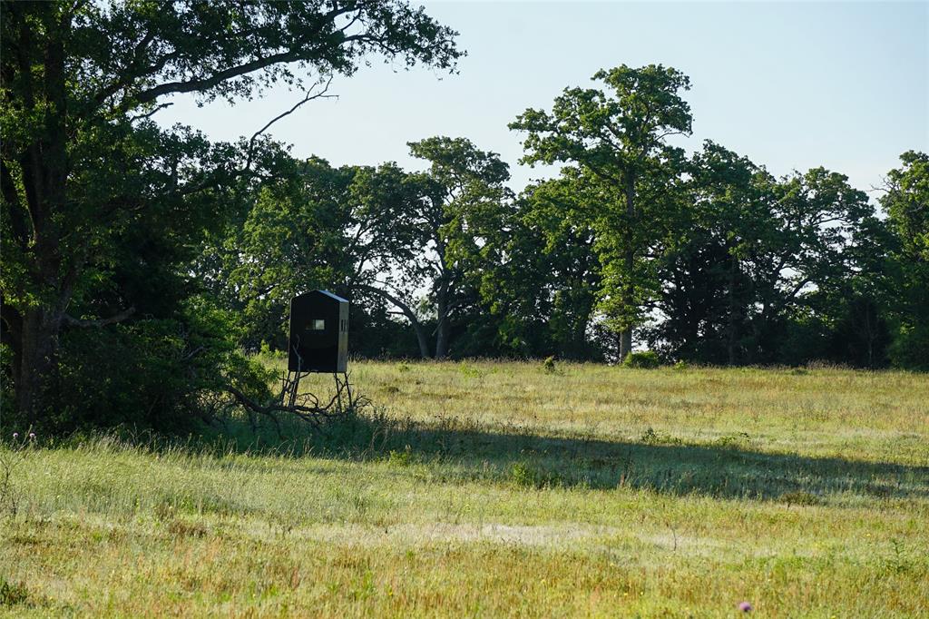 000 Fm 979, Calvert, Texas image 42