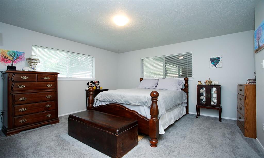 12662 Hackberry Drive, Willis, Texas image 23