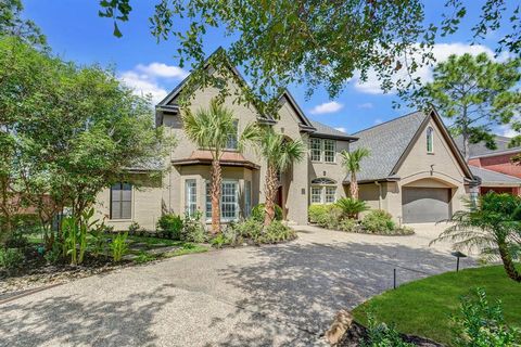 27 Pleasure Cove Drive The Woodlands TX 77381