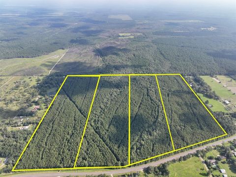 Vacant Land For Sale - 2 Fm 2802<br/> Vidor, TX 77662