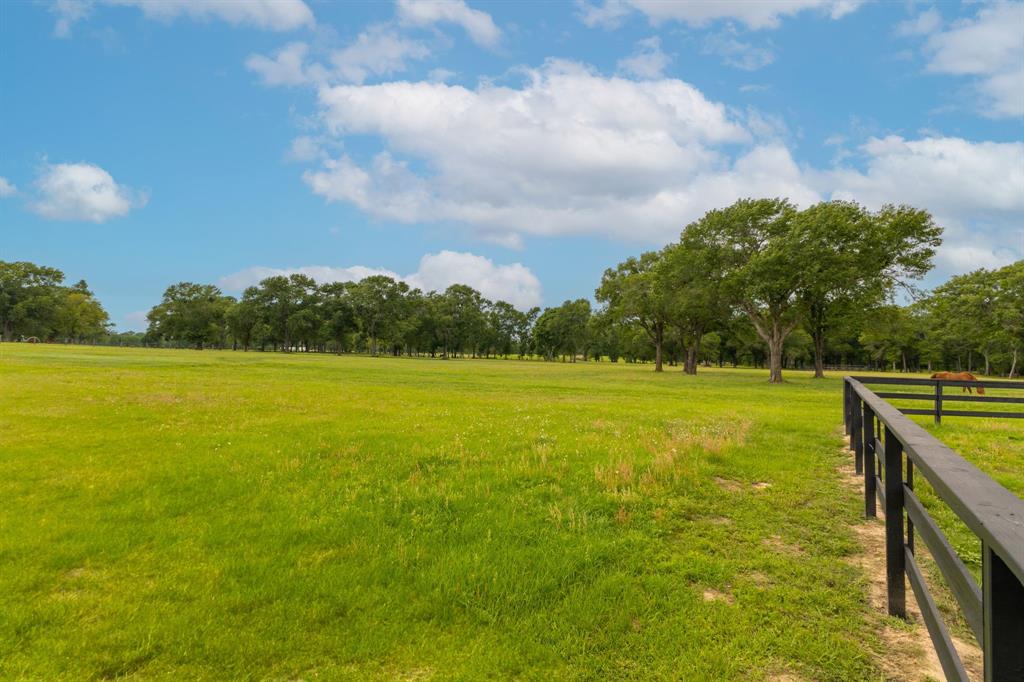 29646 Skymac Ranch Road, Hempstead, Texas image 46