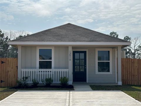 12010 William Trails Circle Willis TX 77378