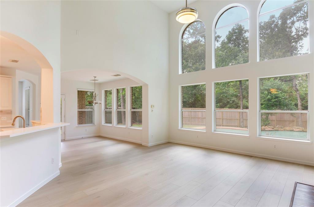 71 Matisse Meadow, The Woodlands, Texas image 1
