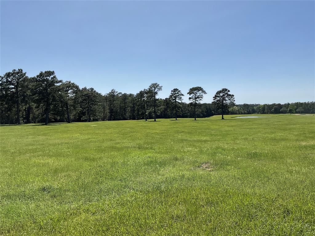 TBD Lakeland Ranch Sec 1, Blk1, Lot 14, Hillister, Texas image 24