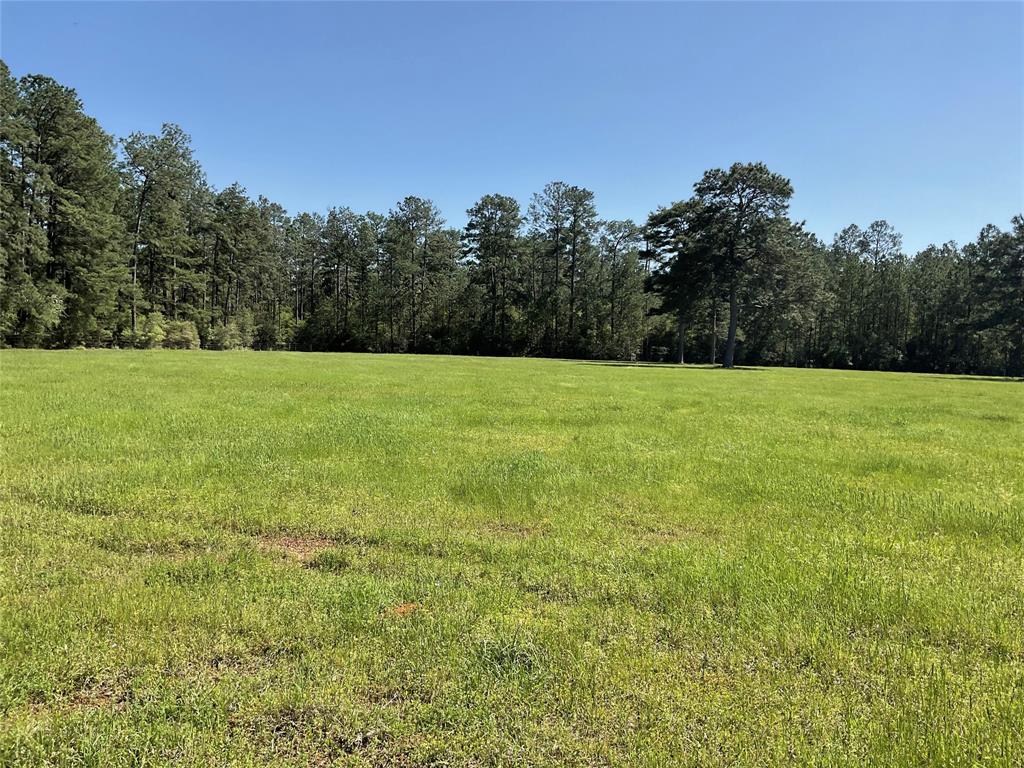 TBD Lakeland Ranch Sec 1, Blk1, Lot 14, Hillister, Texas image 21