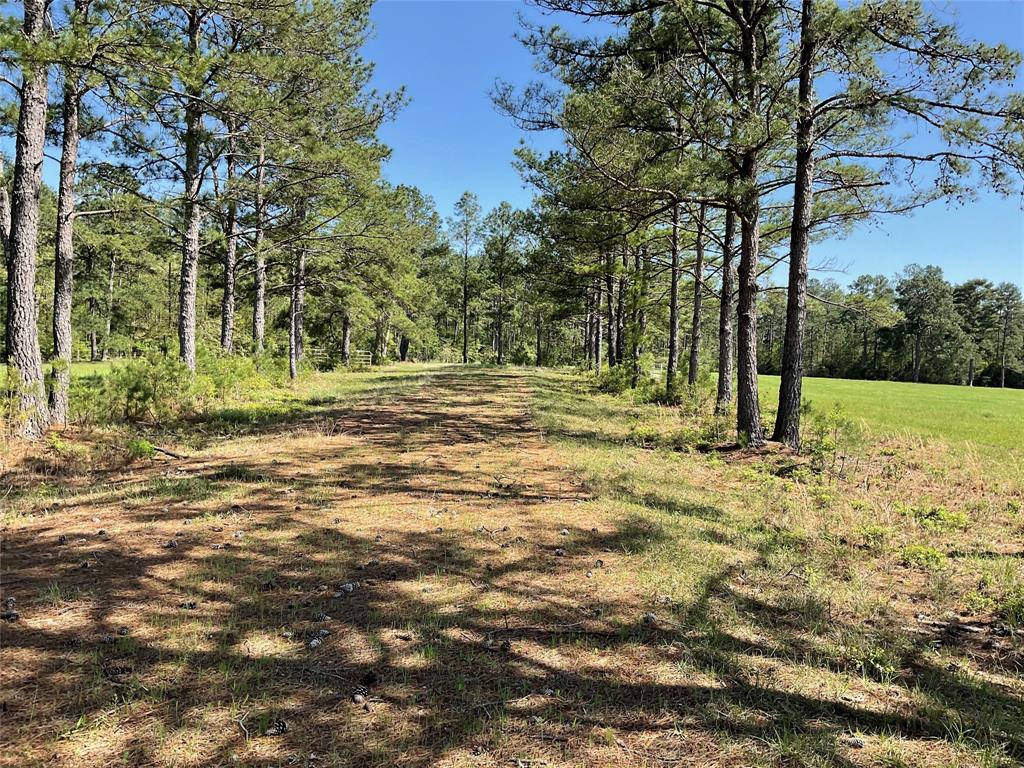 TBD Lakeland Ranch Sec 1, Blk1, Lot 14, Hillister, Texas image 27