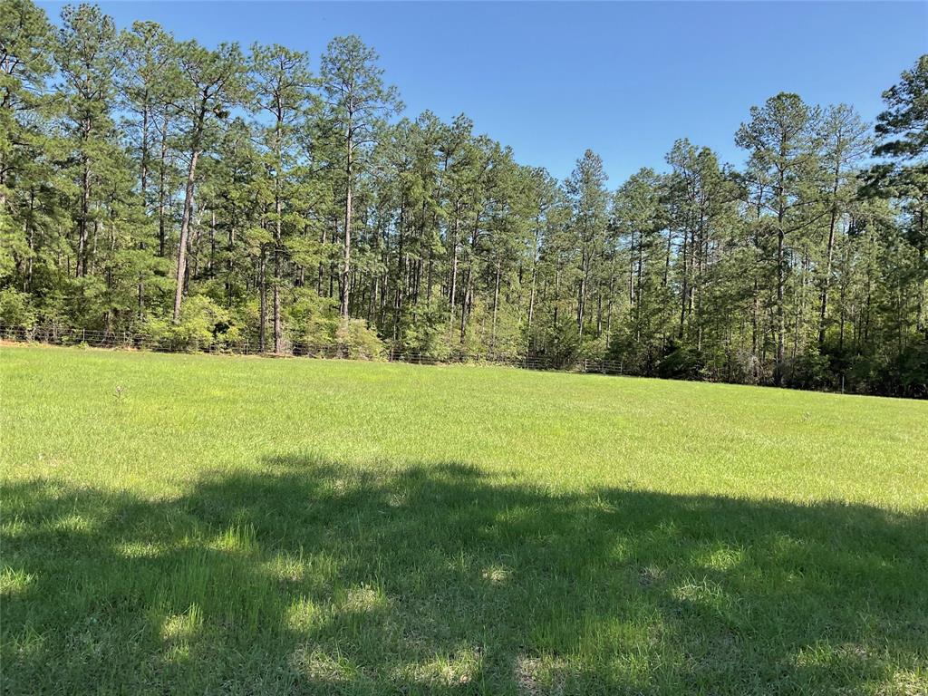 TBD Lakeland Ranch Sec 1, Blk1, Lot 14, Hillister, Texas image 17