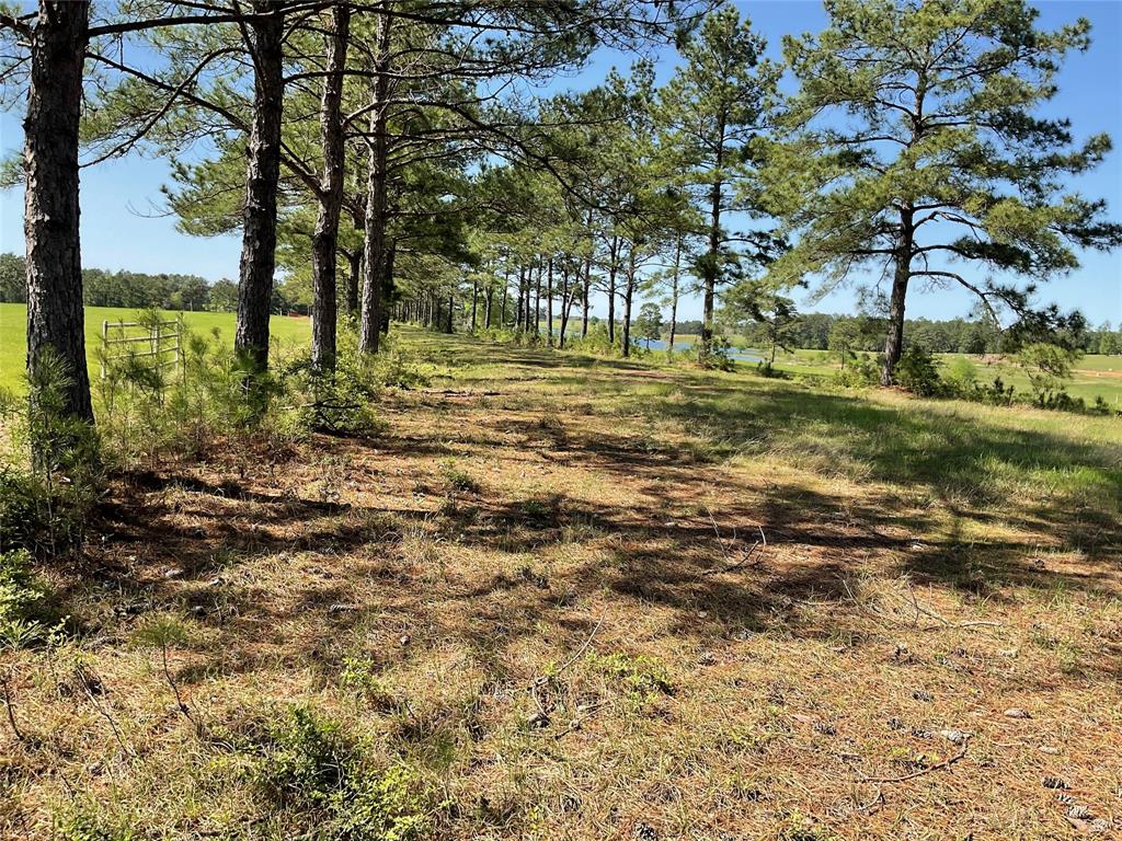 TBD Lakeland Ranch Sec 1, Blk1, Lot 14, Hillister, Texas image 11