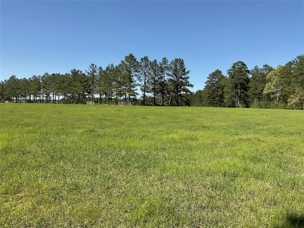 TBD Lakeland Ranch Sec 1, Blk1, Lot 14, Hillister, Texas image 12