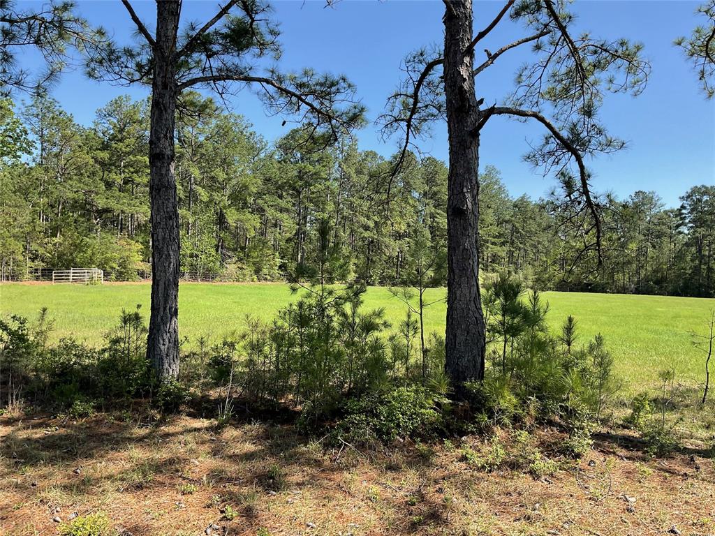 TBD Lakeland Ranch Sec 1, Blk1, Lot 14, Hillister, Texas image 8