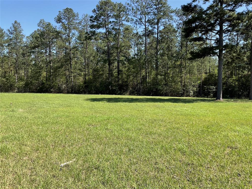 TBD Lakeland Ranch Sec 1, Blk1, Lot 14, Hillister, Texas image 14