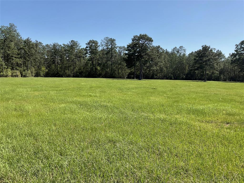 TBD Lakeland Ranch Sec 1, Blk1, Lot 14, Hillister, Texas image 29