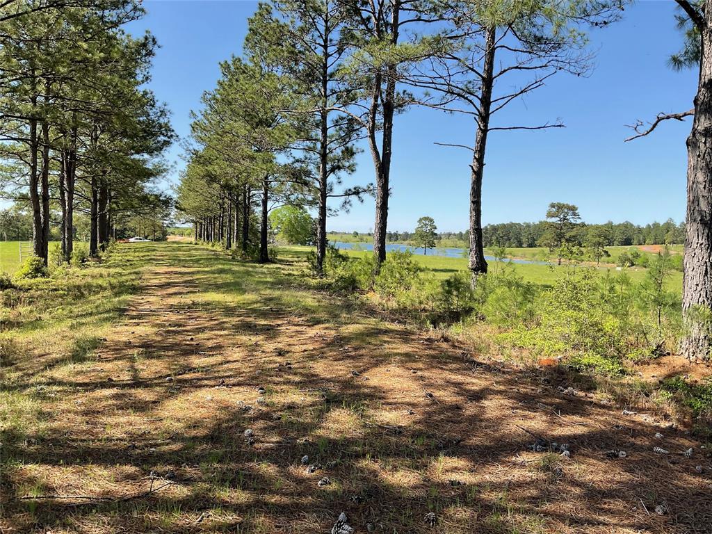 TBD Lakeland Ranch Sec 1, Blk1, Lot 14, Hillister, Texas image 6