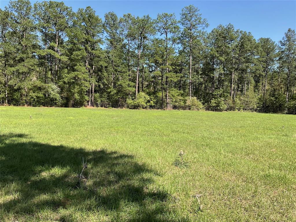 TBD Lakeland Ranch Sec 1, Blk1, Lot 14, Hillister, Texas image 15