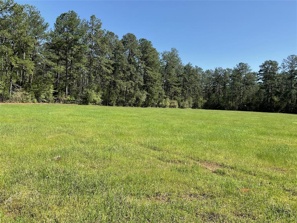 TBD Lakeland Ranch Sec 1, Blk1, Lot 14, Hillister, Texas image 22