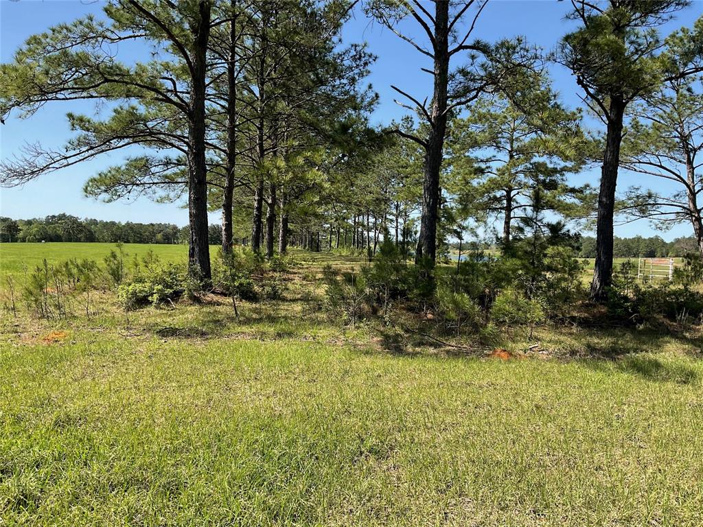 TBD Lakeland Ranch Sec 1, Blk1, Lot 14, Hillister, Texas image 26