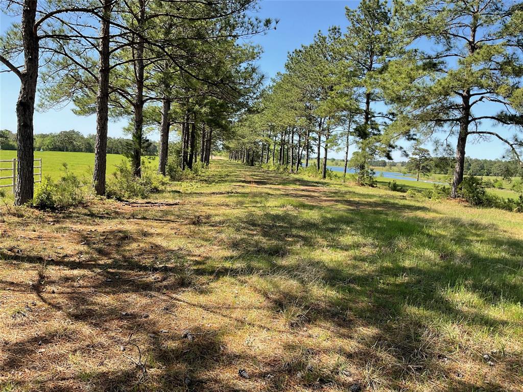 TBD Lakeland Ranch Sec 1, Blk1, Lot 14, Hillister, Texas image 10