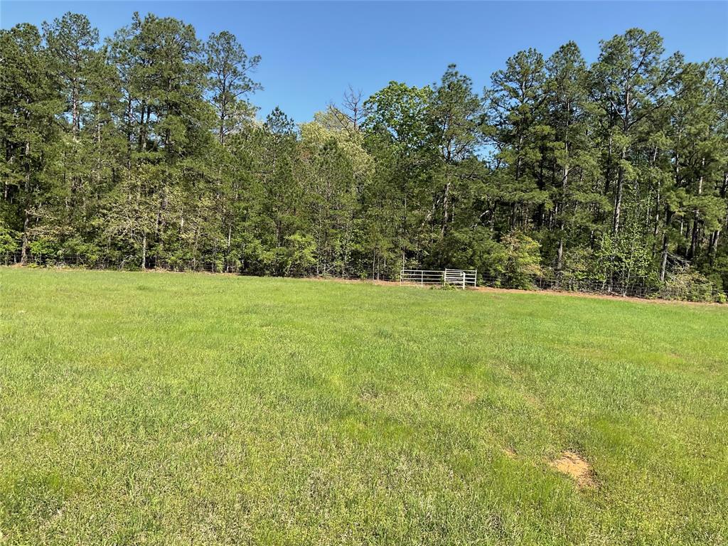 TBD Lakeland Ranch Sec 1, Blk1, Lot 14, Hillister, Texas image 23