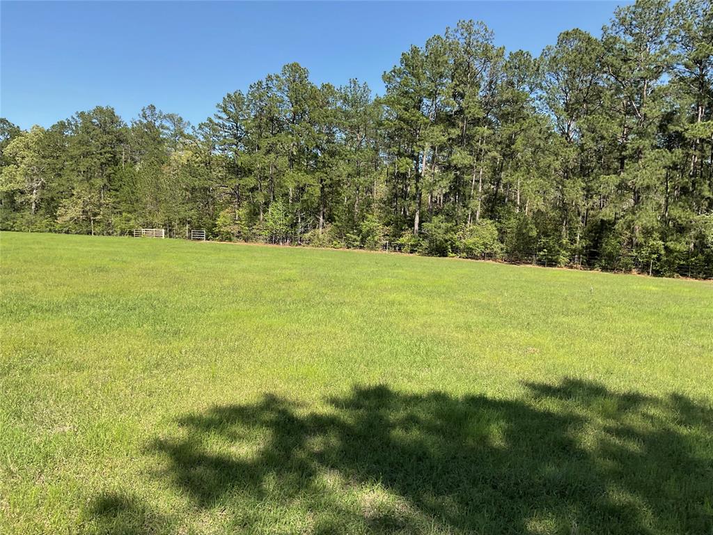 TBD Lakeland Ranch Sec 1, Blk1, Lot 14, Hillister, Texas image 13