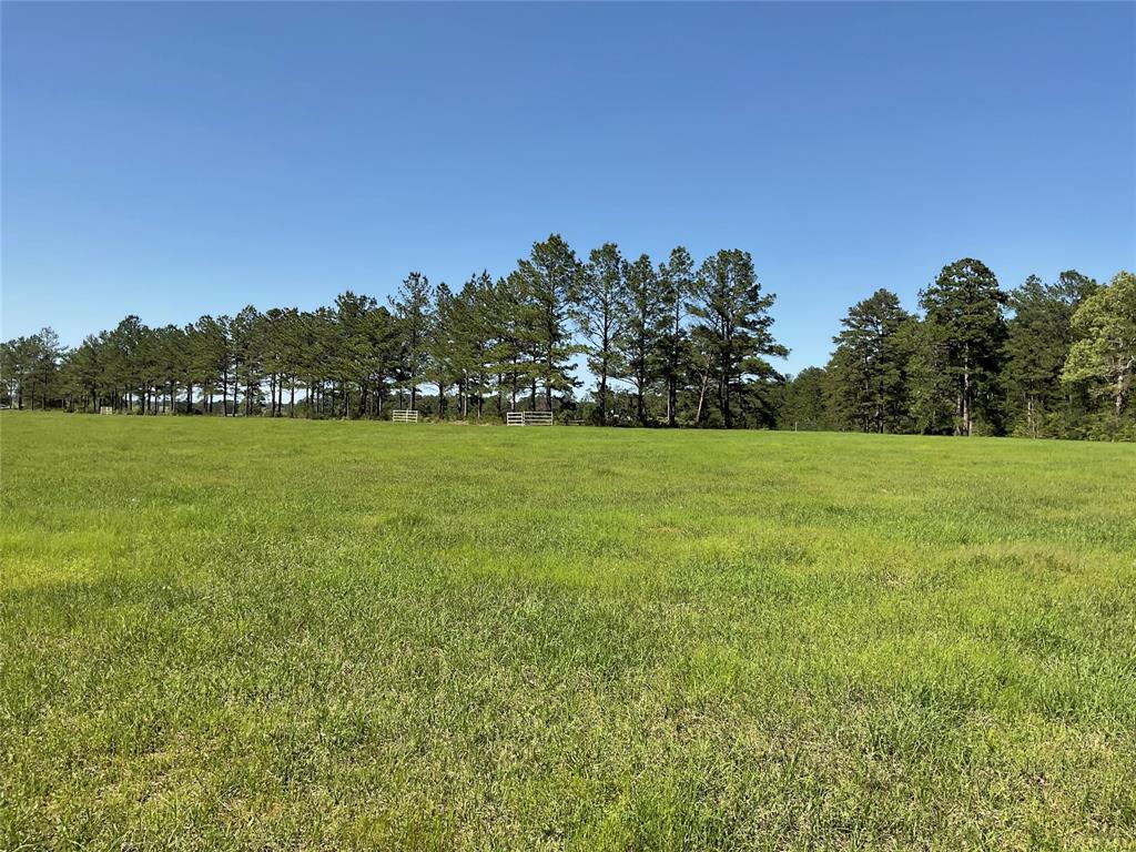 TBD Lakeland Ranch Sec 1, Blk1, Lot 14, Hillister, Texas image 16