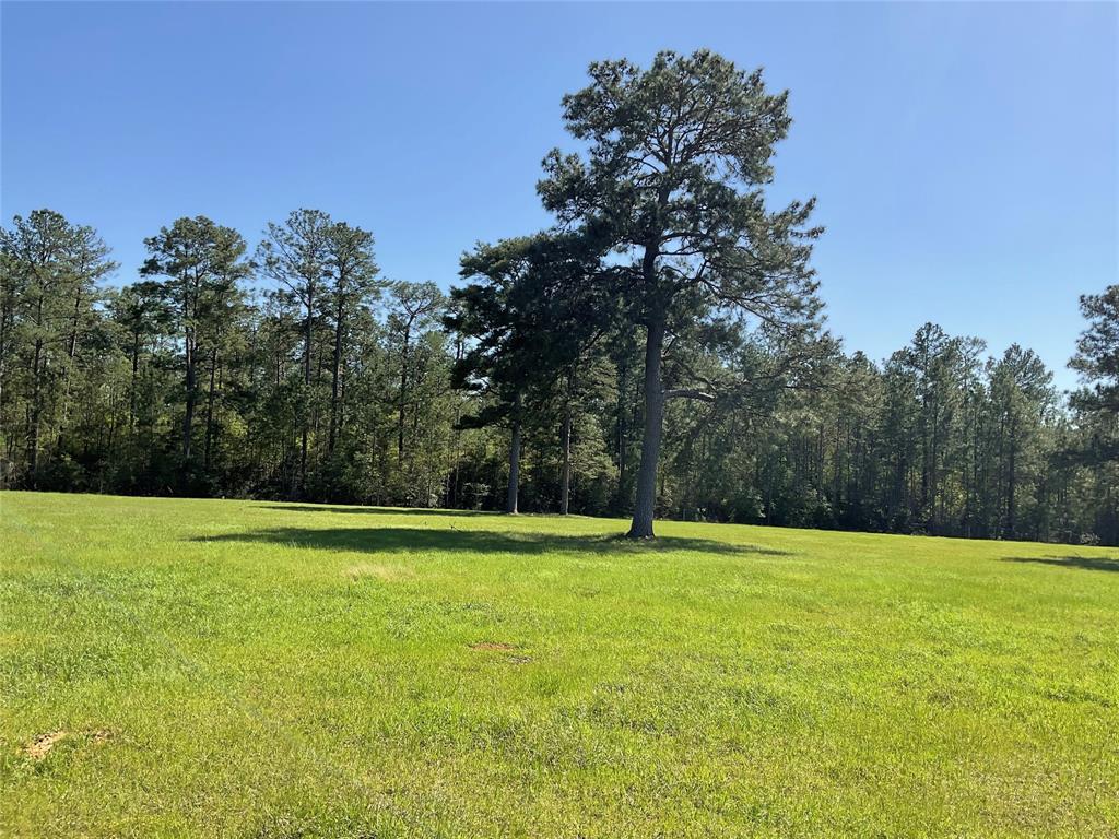 TBD Lakeland Ranch Sec 1, Blk1, Lot 14, Hillister, Texas image 18