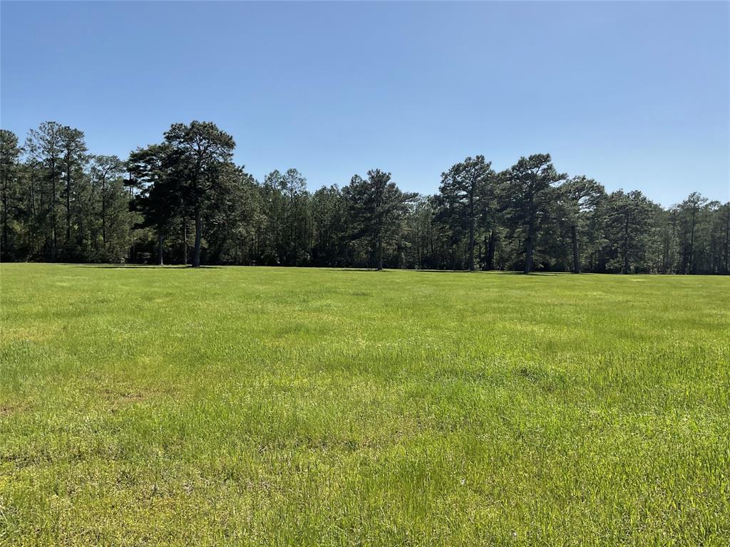 TBD Lakeland Ranch Sec 1, Blk1, Lot 14, Hillister, Texas image 20