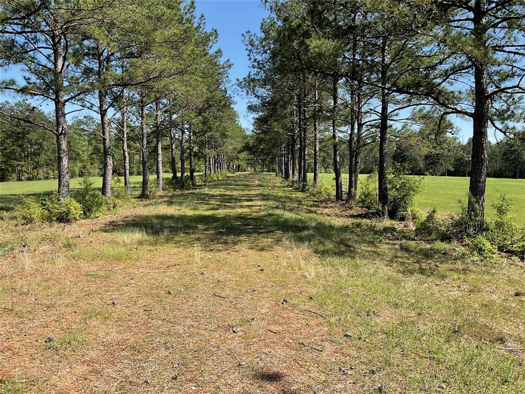 TBD Lakeland Ranch Sec 1, Blk1, Lot 14, Hillister, Texas image 28