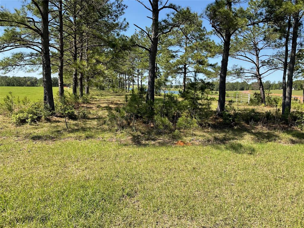 TBD Lakeland Ranch Sec 1, Blk1, Lot 14, Hillister, Texas image 25