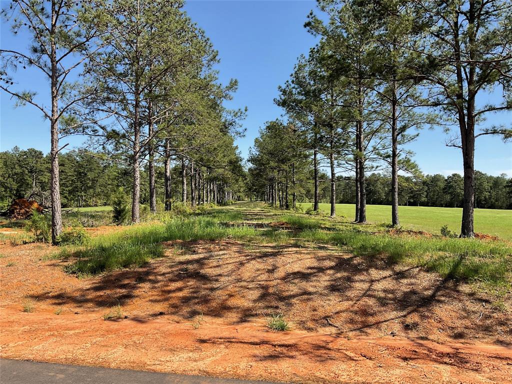 TBD Lakeland Ranch Sec 1, Blk1, Lot 14, Hillister, Texas image 3