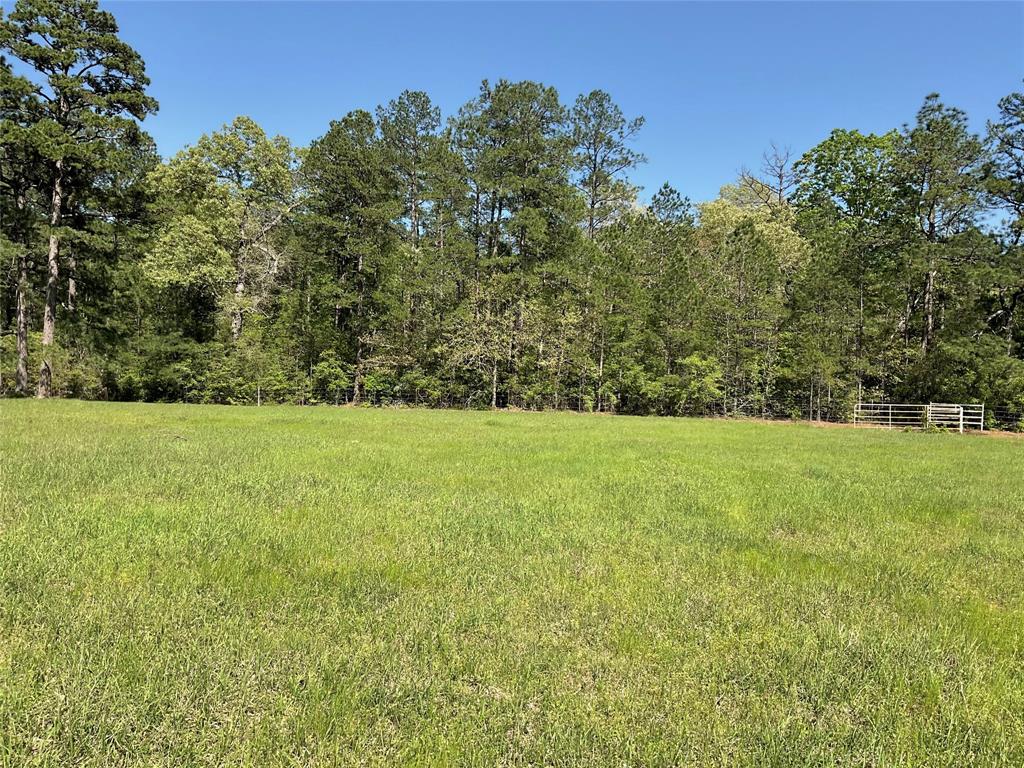 TBD Lakeland Ranch Sec 1, Blk1, Lot 14, Hillister, Texas image 19